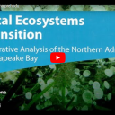 Obalni ekosistemi na prehodu – Severni Jadran in Zaliv Chesapeake