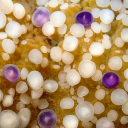 Znamka in razglednica Akvarija Piran