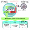 Dr. Anže Smole z Nacionalnega inštituta za biologijo (NIB), je s sodelavci na Univerzi v Pensilvaniji razvil klinični genski sistem za nadgradnjo celic CAR-T