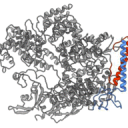 Uravnavanje delovanja proteinov obeta z novo tehnologijo uporabo v biomedicini in biotehnologiji