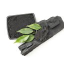 Zaključek projekta Alps4GreenC – Biooglje pri doseganju podnebno-energetske odpornosti