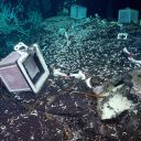 Lanskoletno odkritje ekosistema pod morskim dnom na vzhodnem Pacifiškem grebenu  objavljeno tudi v ugledni reviji Nature Communications