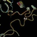 Prof. dr. sc. Igor Muševič, IJS, FMF:  Nove ideje v znanosti prihajajo v valovih